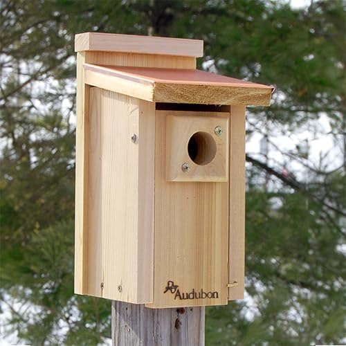 Audubon Coppertop Cedar Wood Bluebird House Model NACOPBB