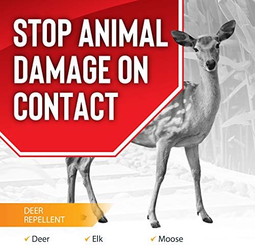 Deer Stopper Quart Concentrate