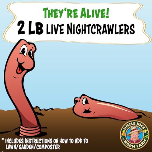 Uncle Jim's Worm Farm Super Red European Nightcrawlers for Composting and Garden Soil Aeration | Large Nightcrawlers Improve Soil Structure and