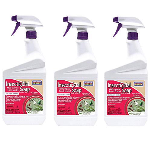 Insecticidal Soap, 32 oz Ready-to-Use Spray Multi-Purpose Insect Control for Organic Gardening Indoor and Outdoor - 3 Pack