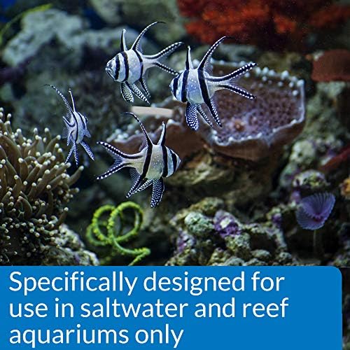 API MARINE STRESS COAT Saltwater Aquarium Water Conditioner 16-Ounce Bottle