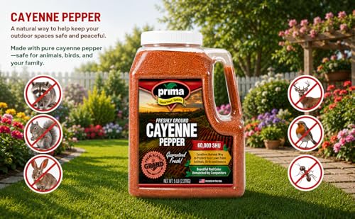 Prima Spice Cayenne Pepper Powder 5 LBS Bulk Kitchen Jug | 60, 000 SHU (Extra Hot) | All Natural