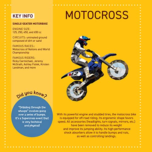 My Sticker Paintings: Cars: 10 Magnificent Paintings (Happy Fox Books) Sticker-by-Number for Kids 6-10 - F1, Motocross, Go-Karts, and Race Cars