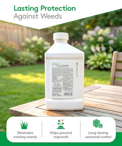 ALLIGARE 2,4-D Amine Weed Killer Concentrate - Post-Emergent Herbicide to Control Pigweed, Thistle, Ragweed, & More - 47.2% Active Ingredient - for Lawns, Pastures, Aquatic Sites & Crops - 2.5 Gallon