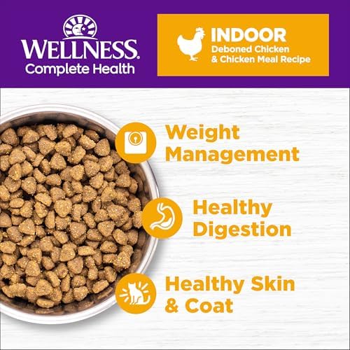 Wellness Complete Health Adult Dry Cat Food for Indoor Cats, Natural, Grain Free Kibble, Chicken Recipe, 5.5 lb Bag