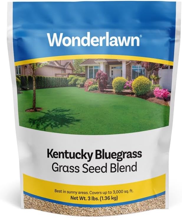 BARENBRUG USA TVKBG7 TV 7 lb Kentucky Bluegrass Seed