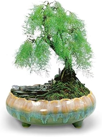 Dahlia 8.3'' Inch Large Shallow Drip Glazed Ceramic Planter/Succulent Pot/Plant Pot, Green