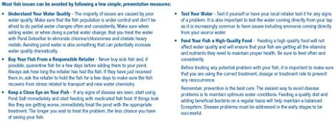Aquascape 81041 Praziquantel Fish Treatment Liquid 250 g / 8.5 oz for Pond Water Feature