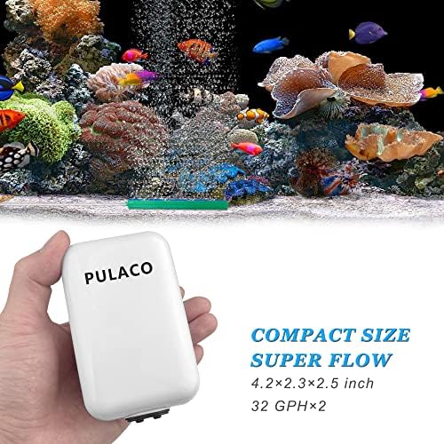 PULACO Dual Outlet Aquarium Air Pump, Quiet Oxygen Pump with Accessories for 10 to 100 Gallon