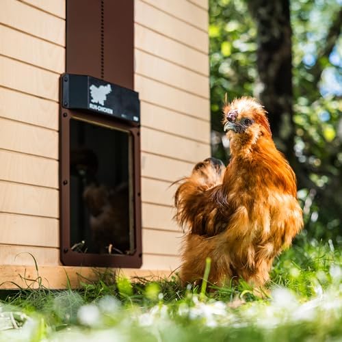 RUN-CHICKEN Door T50 – Automatic Chicken Coop Door Opener, Battery Powered & Weatherproof Aluminum, Smart App & Timer Control, Predator Proof