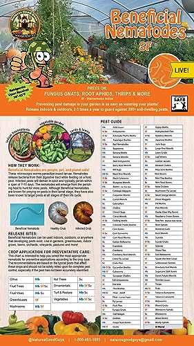 NaturesGoodGuys Beneficial Nematodes SF Steinernema feltiae - 50 Million