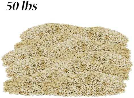 BestNest Safflower Seed, 50 lbs.