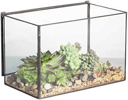 NCYP 6.7 x 4 x 4.8 Inch Small Glass Terrarium Planter with Lid, Clear Glass Box Container for Succulents, Air Plant, Moss, Ferns, Cactus