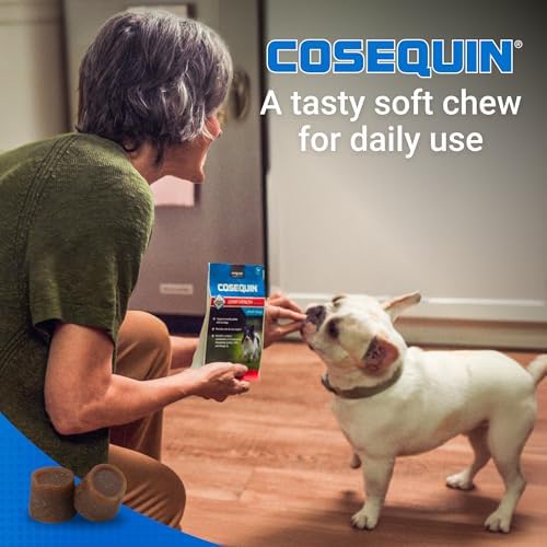 Nutramax Cosequin for Small Dogs, Soft Chews, 45 Count | Glucosamine, Chondroitin for Dogs with MSM, Omega-3s, Supports Healthy Skin and Coat, Small Dog Soft Chews, All Ages