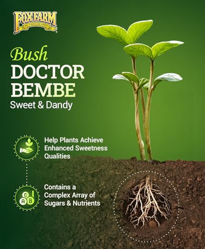 FoxFarm Bush Doctor Bembé Sweet & Dandy Liquid Plant Fertilizer - Complex Nutrient Blend - 0-1-3 PK Fertilizer for In-Ground & Hydroponic Gardens - 1 Quart
