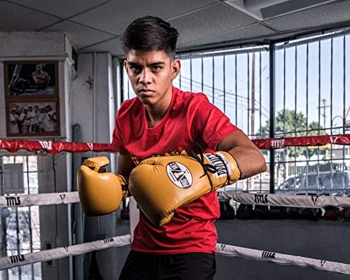 Pro Mex Pro Lace Training Gloves V 3.0