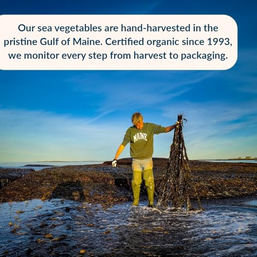 Maine Coast Sea Vegetables Sea Salt with Sea Veg Shaker, 4 oz - Wild-Harvested Seaweed Seasoning, Organic Dulse & Kelp Blend, Rich in Iodine