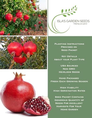 Pomegranate Tree Seeds (Punica granatum) – 30+ Non-GMO Fruit Tree Seeds for Planting, Beautiful Ornamental Tree with Sweet Edible Fruit