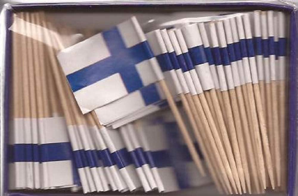 One Box of 100 Nicaragua Toothpick Flags, 100 Small Mini International Flag Cupcake Toothpicks or Cocktail Picks