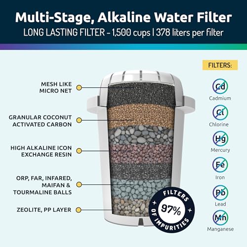 Invigorated Water Alkaline Water Filter Dispenser, 53-Cup Large Capacity