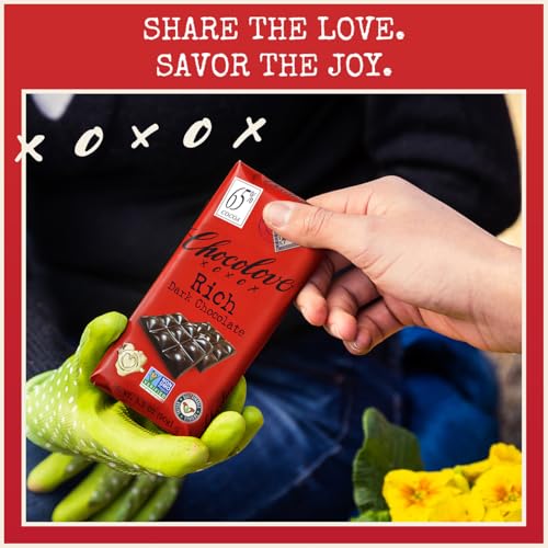 Chocolove Extreme Dark Chocolate Bars | 88% Cocoa | Rich and Intense Flavor | Made with Premium Dark Chocolate | Non-GMO & Gluten-Free, 3.2 oz Bar (12 Pack)