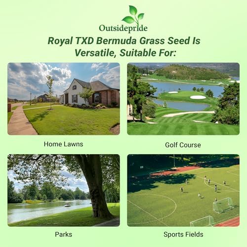 Outsidepride Royal TXD Bermuda Grass Seed Blend - 1 lb. Warm Season, Fast Growing Turf Grass Seeds: Heat & Drought Tolerant, Ideal for Home Lawns & Sports Fields, Dense & Lush Green Coverage