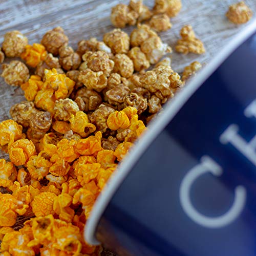 Signature Popcorn - Gourmet 1-Gallon Blue Chicago Skyline Reusable Plastic Bucket Tin - Half Caramel Half Cheddar Cheese Flavor - Holiday