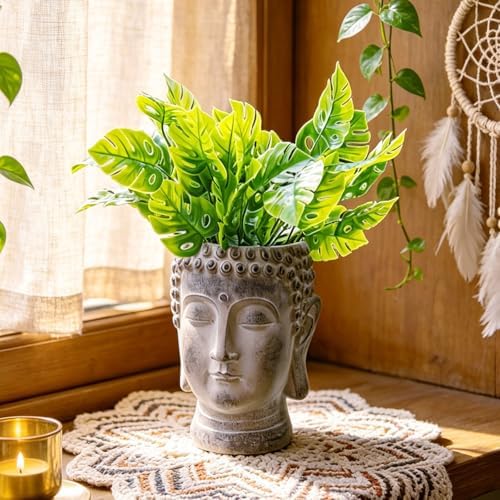 Newman House Studio Face Cactus Succulents Planter Pot - Indoor Outdoor Planter with Drainage Hole Garden Statues Cute Plants Pot Flower Pot