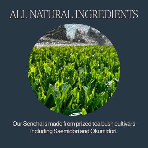 Rishi Tea Sencha Green Japanese Organic Sachet Tea Bags, Caffeinated, 15ct | Classic Japanese Sencha Green Tea, Enjoy Hot or Iced, Sustainable, 15 Servings