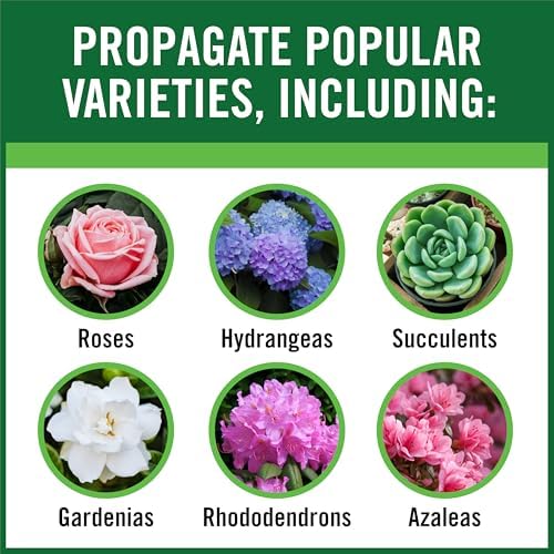 RootBoost Rooting Hormone, Rooting Powder for Plant Cuttings, 2 Ounces | Propagation for indoor and outdoor plants, container gardens and garden ornamentals, contains Hormodin 1