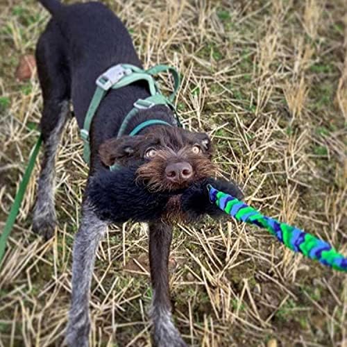Tug-E-Nuff WondaBaa Bungee Tug Toy for Dogs for Interactive Training & Play | Soft and Responsibly-Sourced Sheepskin Bite Area | for Dogs of All