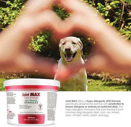 Triple Strength Hypo-Allergenic Soft Chews for Dogs - Hip and Joint Support Supplement with Glucosamine, Chondroitin, & MSM - Made in The USA - 120 Soft Chews