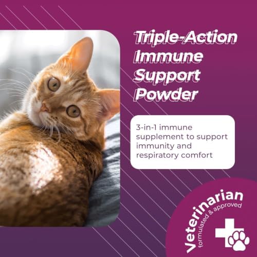 VetriScience Lysine Immunity Health Chews, 250 mg Lysine Plus Immune Supplement for Cats and Kittens with Allergies, Sneezing, Runny Nose and Watery Eyes, Chicken, 120 Count