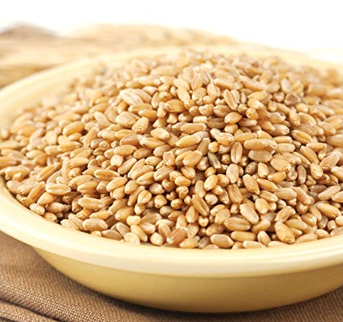 Hard White Wheat Kernels - 4 Lb Tub