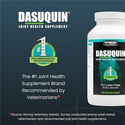 Nutramax Dasuquin Joint Supplement for Large Dogs, Chewable Tablets, 150ct | Glucosamine and Chondroitin, ASU, Supports Healthy Joints, For Dogs Over 60 lbs, All Ages, Chewable Tablets