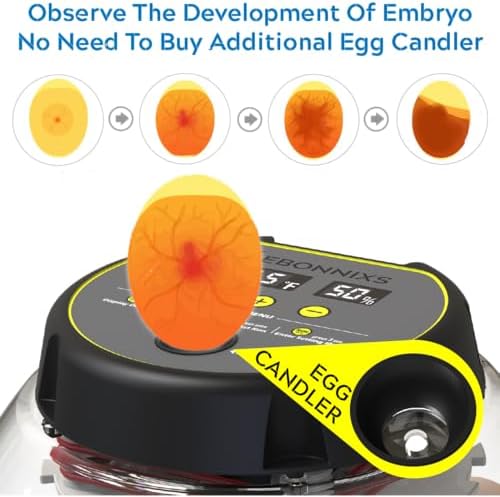 KEBONNIXS 12 Egg Incubator with Humidity Display, Egg Candler, Automatic Egg Turner, for Hatching Chickens