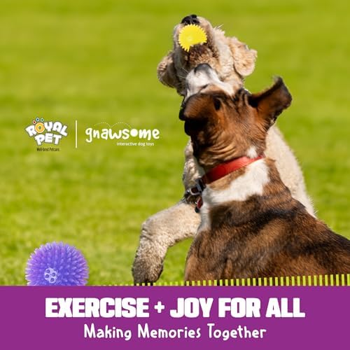 Gnawsome™ 3.5” Spiky Squeak & Light Ball Dog Toy - Medium, Cleans Teeth and Promotes Good Dental and Gum Health for Your Pet, Colors will vary