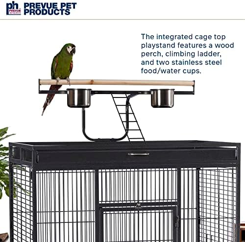 Prevue Pet Products Wrought Iron Select Bird Cage 3154BLK, Black Hammertone, 36-Inch by 24-Inch by 66-Inch