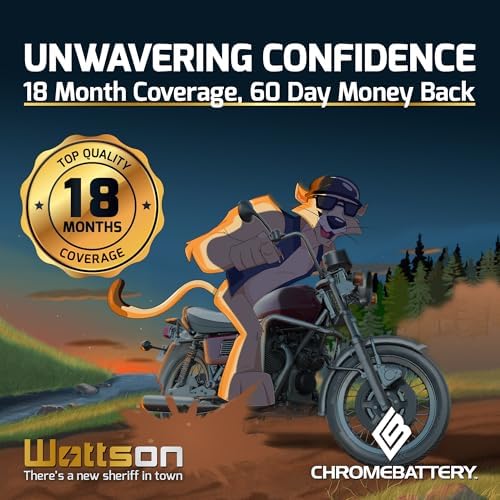 CB CHROMEBATTERY 12V 20AH T6 Maintenance-Free Battery for Alarm Systems, Scooters, Toys, Emergency Lights, and More - Threaded (T6) Terminal