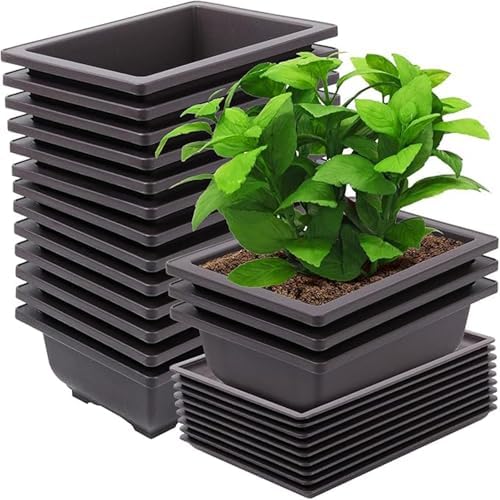 15 PCS 6.5 Inch Bonsai Training Pots with Trays, Rectangular Plastic Growing Pots, Flower Succulent Pots Container for Garden, Yard, Office, Porch