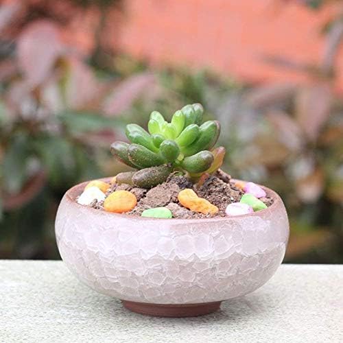 Succulent Plant Pot, 12 Pcs 2.5 Inch Ceramic Ice Crack Cactus Plant Pot/Flower Pot/Container/Planter