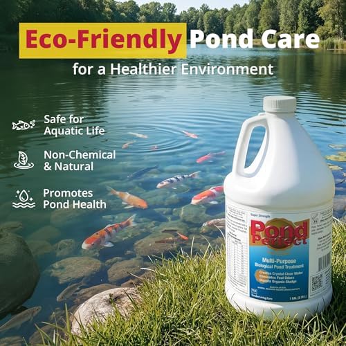 PondPerfect Pond Bacteria - Natural Treatment for Ponds - Safe for Fish | Liquid Formula for Pond Maintenance – Pond Cleaner for outdoor Ponds - Safe for Fish - 32 oz (946 ml) for up to 25000 gal