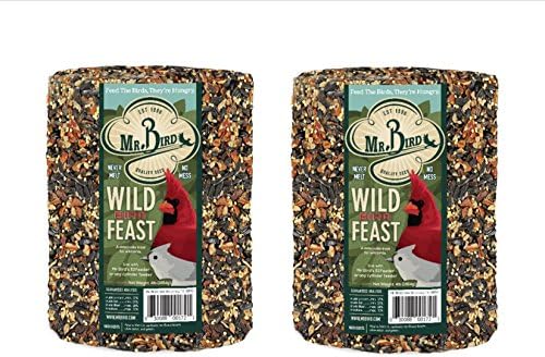 Mr. Bird WildBird Feast Cylinder, 1-Pack, 4 lbs | Wild Bird Seed for Outside Feeders | Premium Blend of Pecans, Sunflower Hearts & Millet | No Mess, No Melt