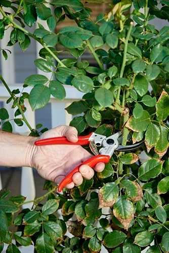 Corona Tools BP 4250 MAXFORGED Aluminum Bypass Pruner, 1-Inch Cut Capacity