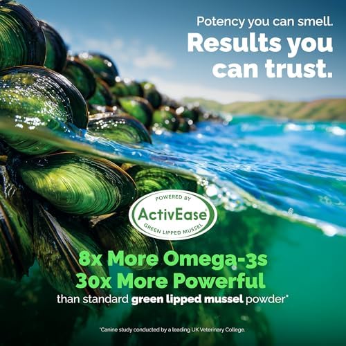 YuMOVE Large Dog Hip & Joint Supplement Soft Chews, Green Lipped Mussel