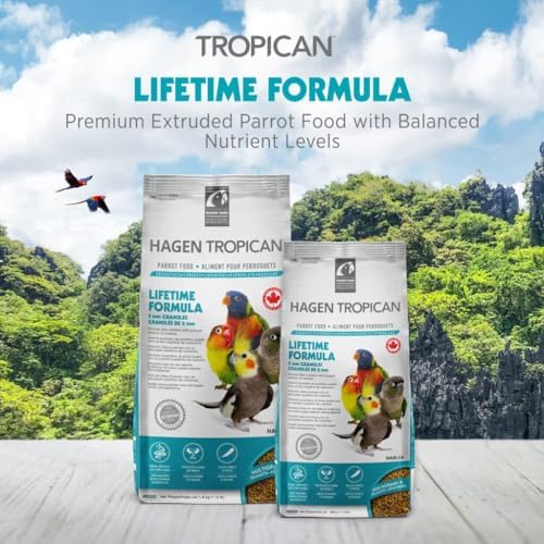 HARI Tropican Bird Food, Maintenance Parrot Granules 2 mm, 1.8 lb Bag | Hagen Parrot Food with Peanuts & Sunflower Seeds, Lifetime Formula