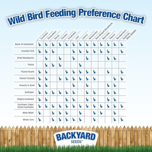 CountryMax Backyard Seeds Songbird Blend Mixed Bird Seed - Attracts Bluebirds, Cardinals, Chickadees (7 Pounds)