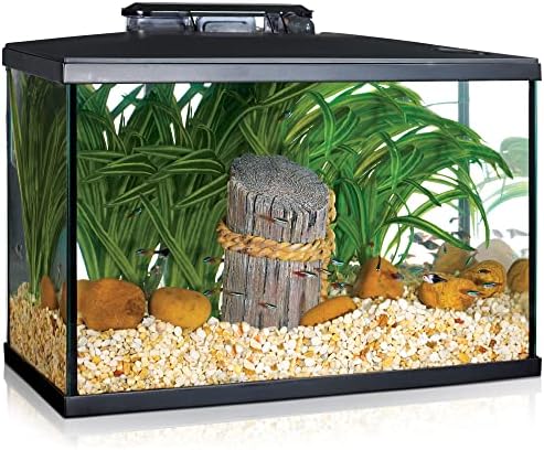 Marina 5 Gallon (19 L) LED Aquarium Kit | Ideal for Beginner Aquarists and New Fish-Keepers