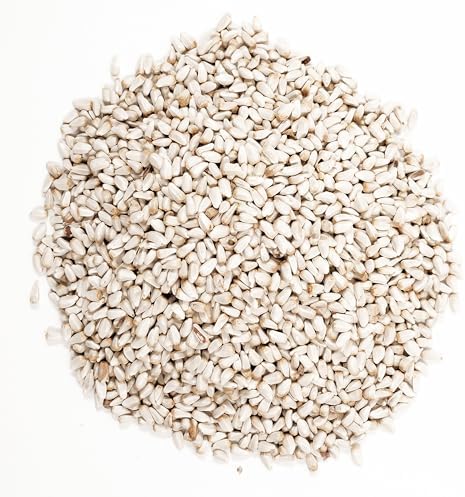 Wagner's 57075 Safflower Seed Wild Bird Food, 5 Pound (Pack of 1)