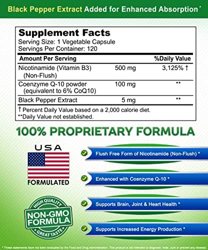 Nicotinamide with CoQ10 (120 Capsules) - Vitamin B3 500mg (Niacinamide Flush Free) - Coenzyme Q10 Powder - VIT B-3 & Coq 10 Supplement Pills to